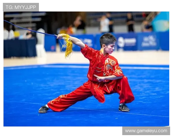 《深度解析武术套路比赛项目：规则、技巧与发展趋势》